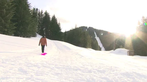 Sunset Sledding Stock Footage 36590397