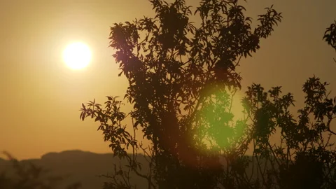 Sunset Slouette Stock Footage 313556345