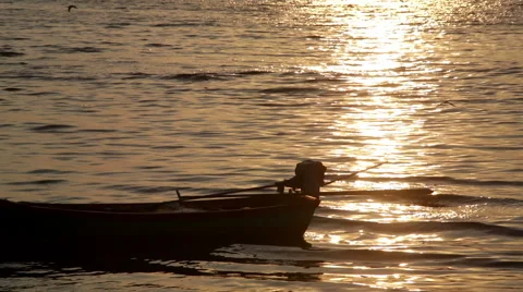 Sunset small boat with seabirds Vidéo 49040367