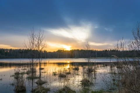 Sunset at the small forest lake. Stock Photos
