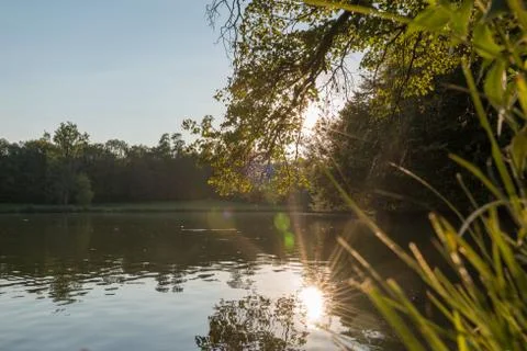 Sunset at a small lake in munich with a nice sunstar. Stock Photos