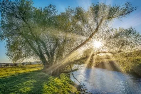 Sunset on a small river with sun rays between the branches, bright Stock Photos