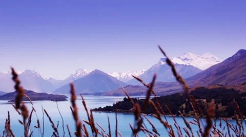 Sunset of snow capped mountains with reeds in the foreground. Stock Footage 34341201