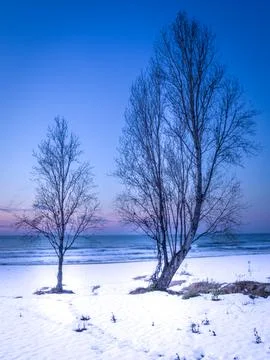 Sunset on a snow-covered beach Stock Photos