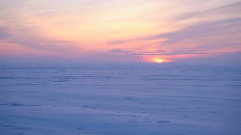 Sunset snow kite 库存影片 120538905