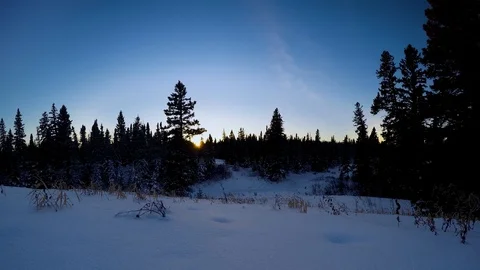 Sunset in a snowy forest setting Stock Footage 99541900