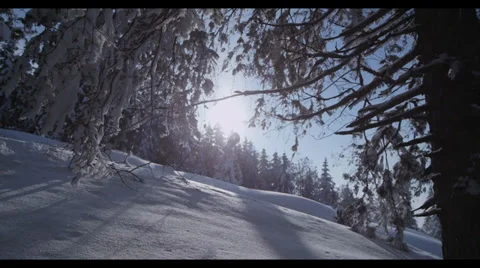 Sunset in Snowy Landscape 2 Stock Footage 32280394