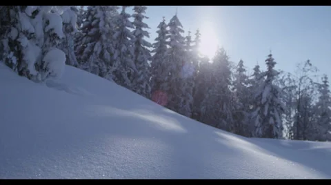 Sunset in Snowy Landscape 库存影片 32282145