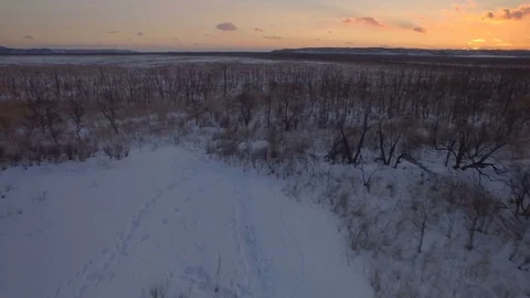 Sunset Snowy Marshland Flyover Stock Footage 73004855