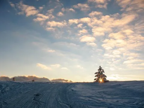 Sunset on a snowy mountain. Sun rays through the spruce on the horizon line. Stock Photos