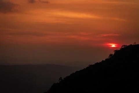 The sunset in sommer forest. Stock Photos