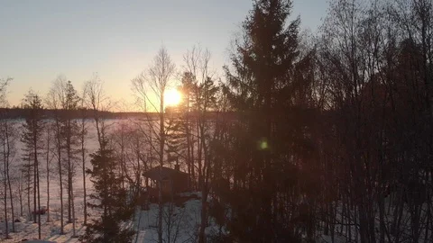 Sunset souna in the trees  Video stock 106669497