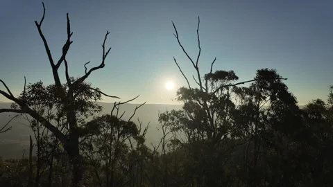 Sunset at South Jawbone Peak through trees Vidéo 331899878