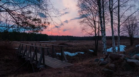 Sunset Spring Landscape with Field, Birches and Bridge over Small Stream Video stock 51662214