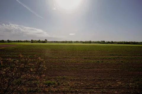 Sunset on spring meadow field in the spring, colorful landscape Stock Photos