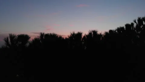 Sunset in spring time Stock-Footage 150353801