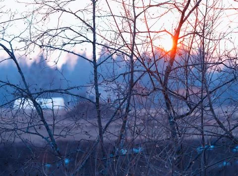 Sunset spring tree branches background Stock Photos