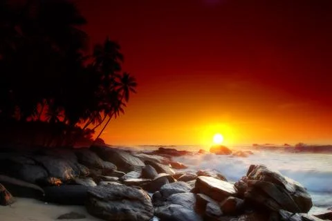 Sunset on Sri Lanka Foto stock