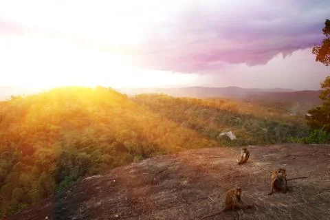Sunset on Sri Lanka Foto stock