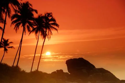 Sunset on Sri Lanka Stock Photos