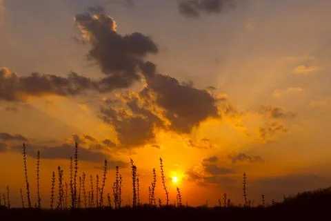 Sunset in steppe Stock Photos