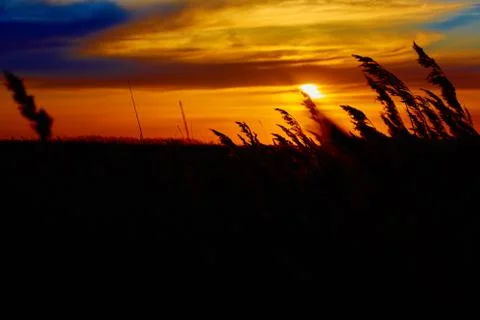 Sunset in the steppe Stock-Fotos