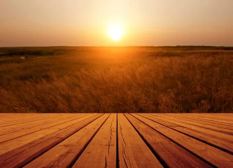 Sunset in the steppe Stock Photos