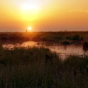Sunset in the steppe Stock Photos