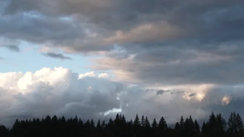 Sunset Storm Clouds Pass Over Evergreen Forest Stock Footage 289105690