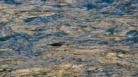 Sunset Stream 1 Stock Footage 11246202