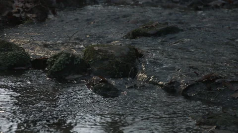 Sunset Stream Video stock 44280335