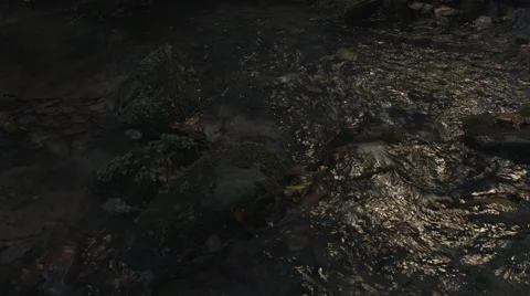 Sunset Stream Tracking Video stock 44279560