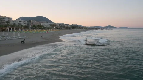 Sunset Stroll on the Beachfront Stock Footage 282927703