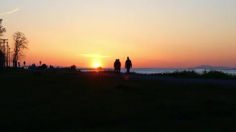 Sunset Stroll at Tera Nova Park, Richmond BC, April 19, 2024 Stock Footage 275074296