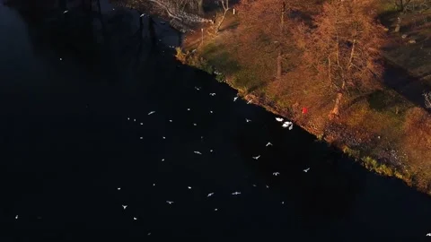 Sunset in the suburbs of Germany. River in the city. Boats in the water. Stock Footage 231784038