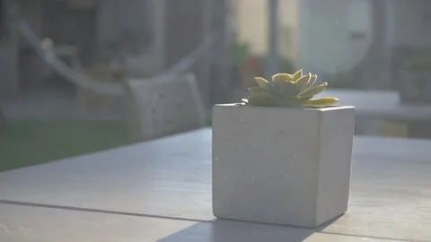 Sunset succulent table beachhouse relax island Video stock 327877319