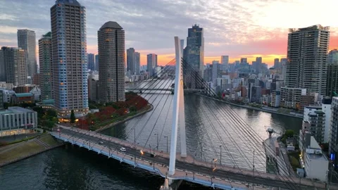 Sunset on Sumida River in Tokyo aerial view, drone view of Japanese metropolis Stock Footage 221879166