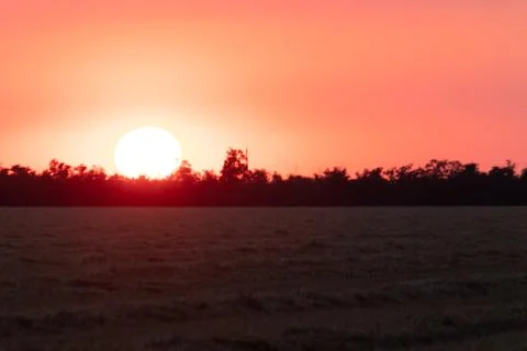 Sunset, summer evening behind greenery. in the foreground a field of mowed wh Stock Photos