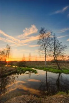 Sunset in summer field Stock Photos