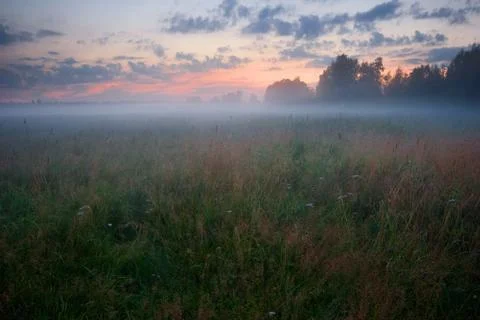 Sunset in summer field Stock Photos