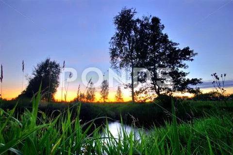 Sunset in summer field Stock Photos