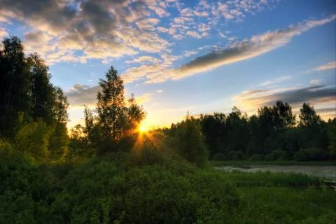 Sunset in summer field Stock Photos