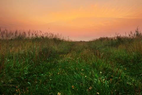 Sunset in summer field Stock Photos