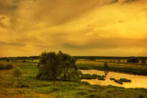 Sunset in summer field Stock Photos