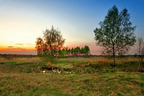 Sunset in summer field Stock Photos