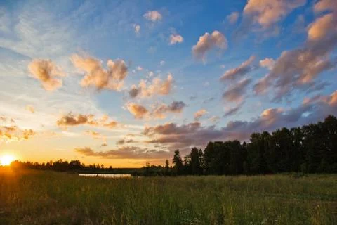 Sunset in summer field Stock Photos
