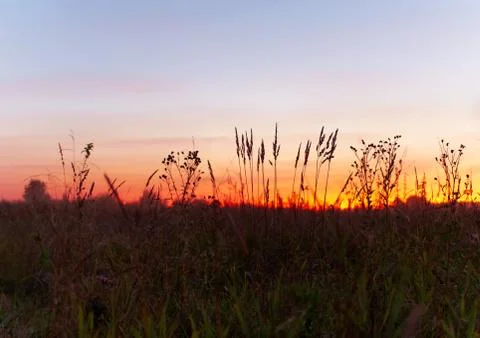 Sunset in summer field Stock Photos
