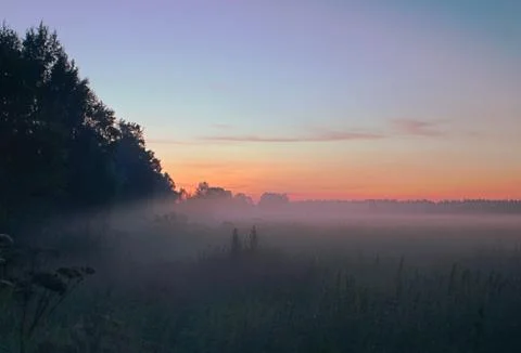 Sunset in summer field Stock Photos