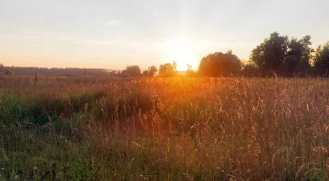 Sunset in summer field Stock Photos
