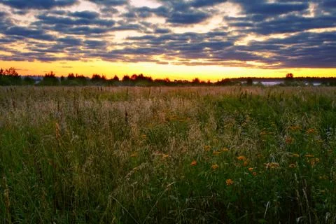 Sunset in summer field Stock Photos